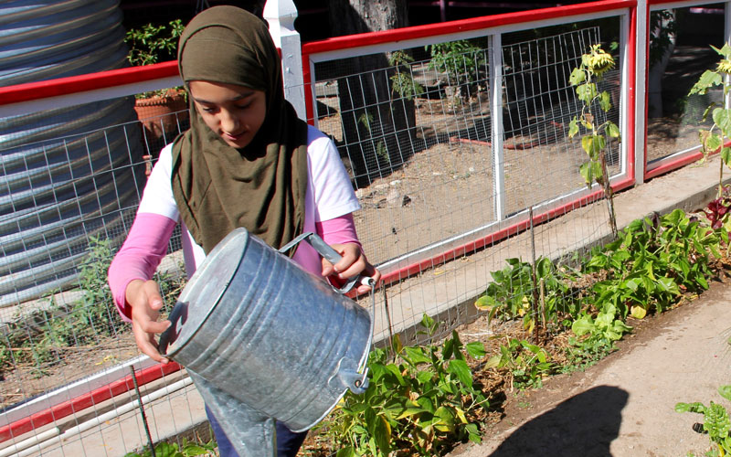A child waters plants