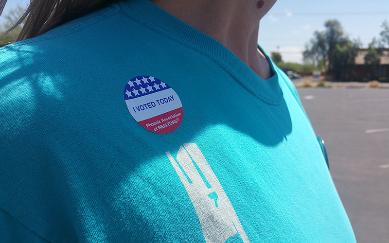 arizona voter in the special election