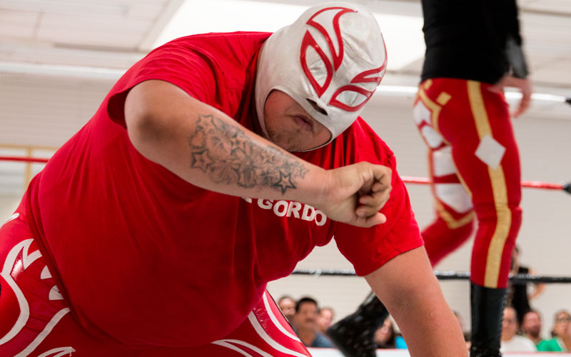 lucha13-800