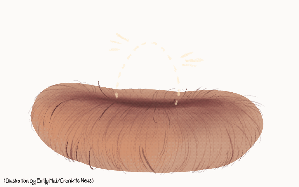 A gif of an egg in a nest.