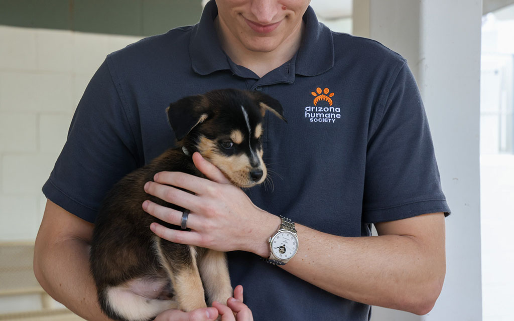 Arizona Humane Society public relations and social media manager Joe Casados holds a dog up for adoption on Feb. 1, 2024. (Photo by Crystal Aguilar/Cronkite News)